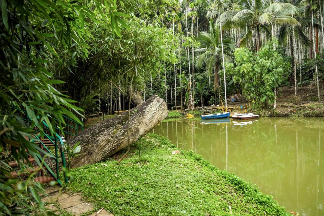 Bamboo Creek Resort Vaduvanchal Экстерьер фото